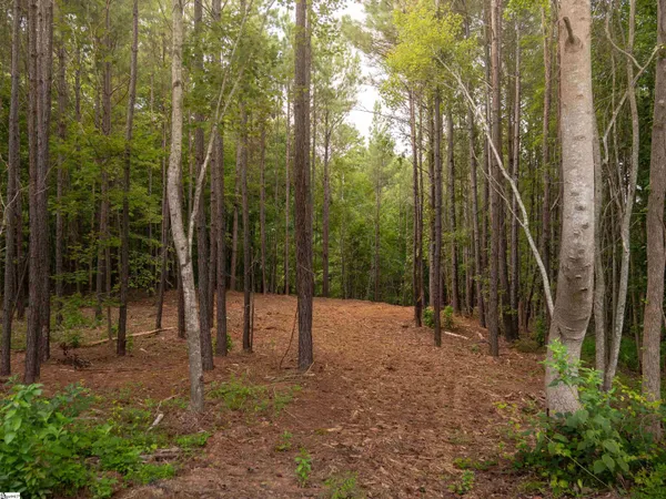 $40,000 | 1 Neal Shoals Road, Union, SC 29379