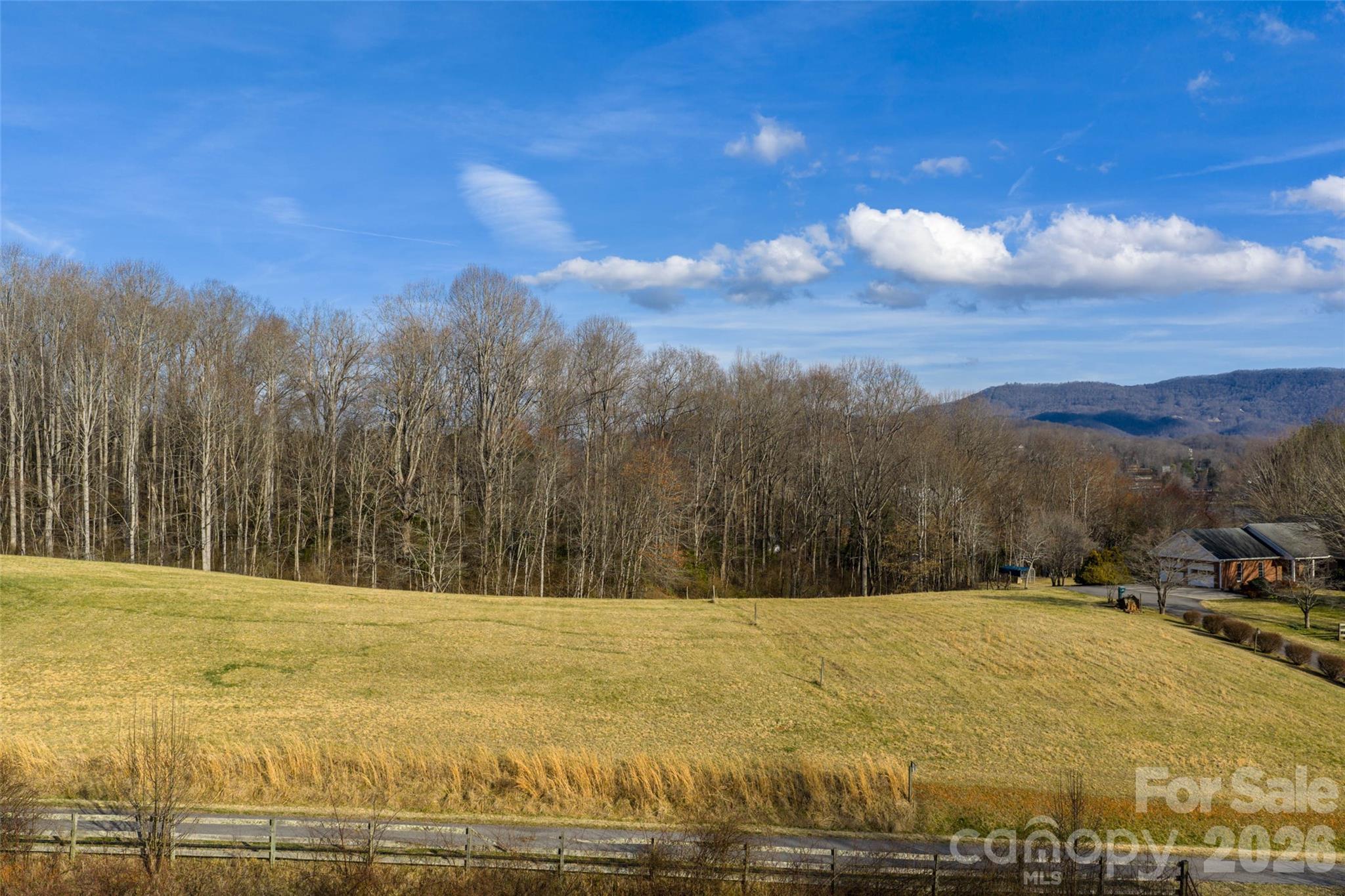 0 Noland Downs Road Waynesville, NC 28785 - Photo 4 of 9