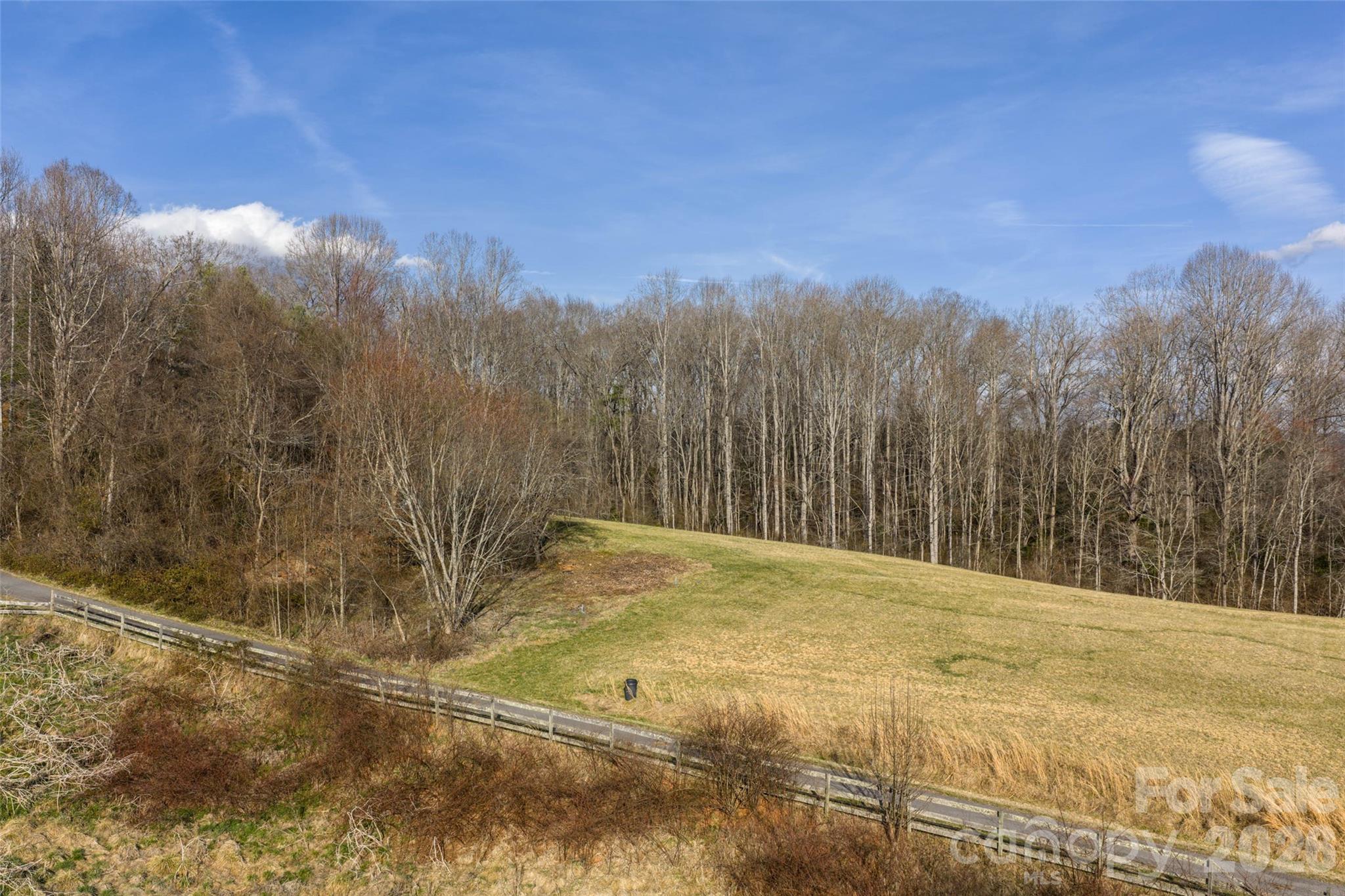 0 Noland Downs Road Waynesville, NC 28785 - Photo 5 of 9