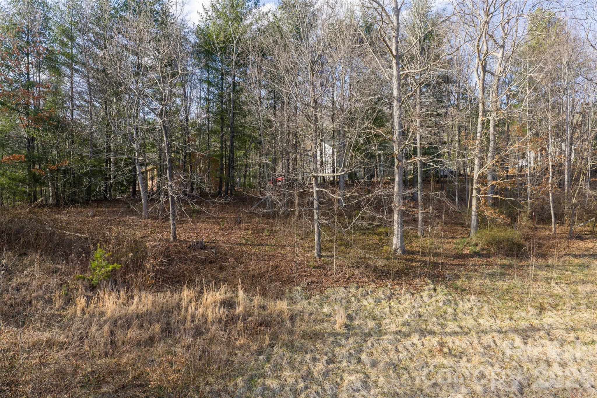 0 Noland Downs Road Waynesville, NC 28785 - Photo 6 of 9