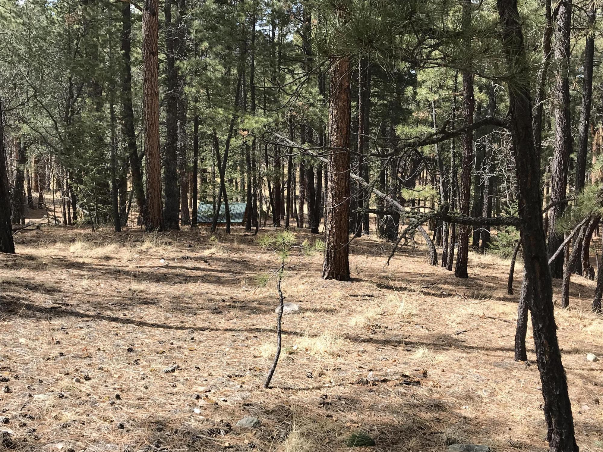 7 Y Co Road Alpine, AZ 85920 - Photo 16 of 29