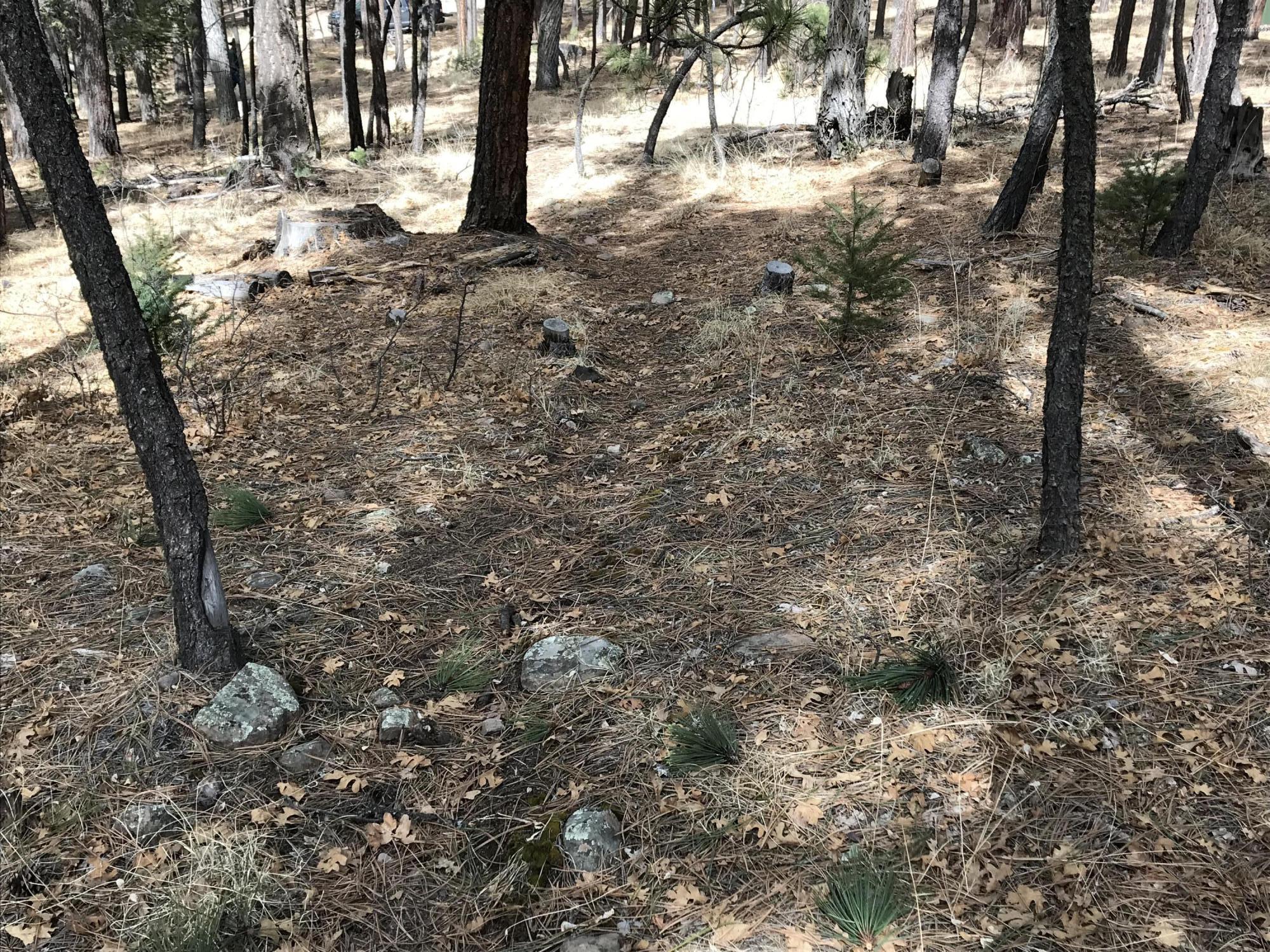 7 Y Co Road Alpine, AZ 85920 - Photo 22 of 29