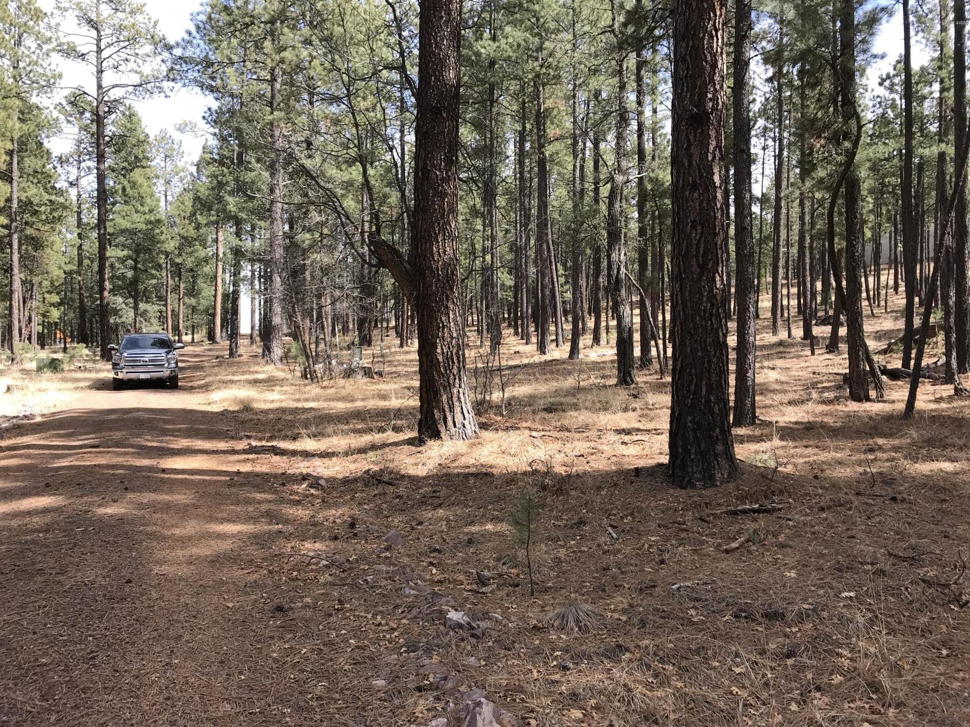7 Y Co Road Alpine, AZ 85920 - Photo 24 of 29