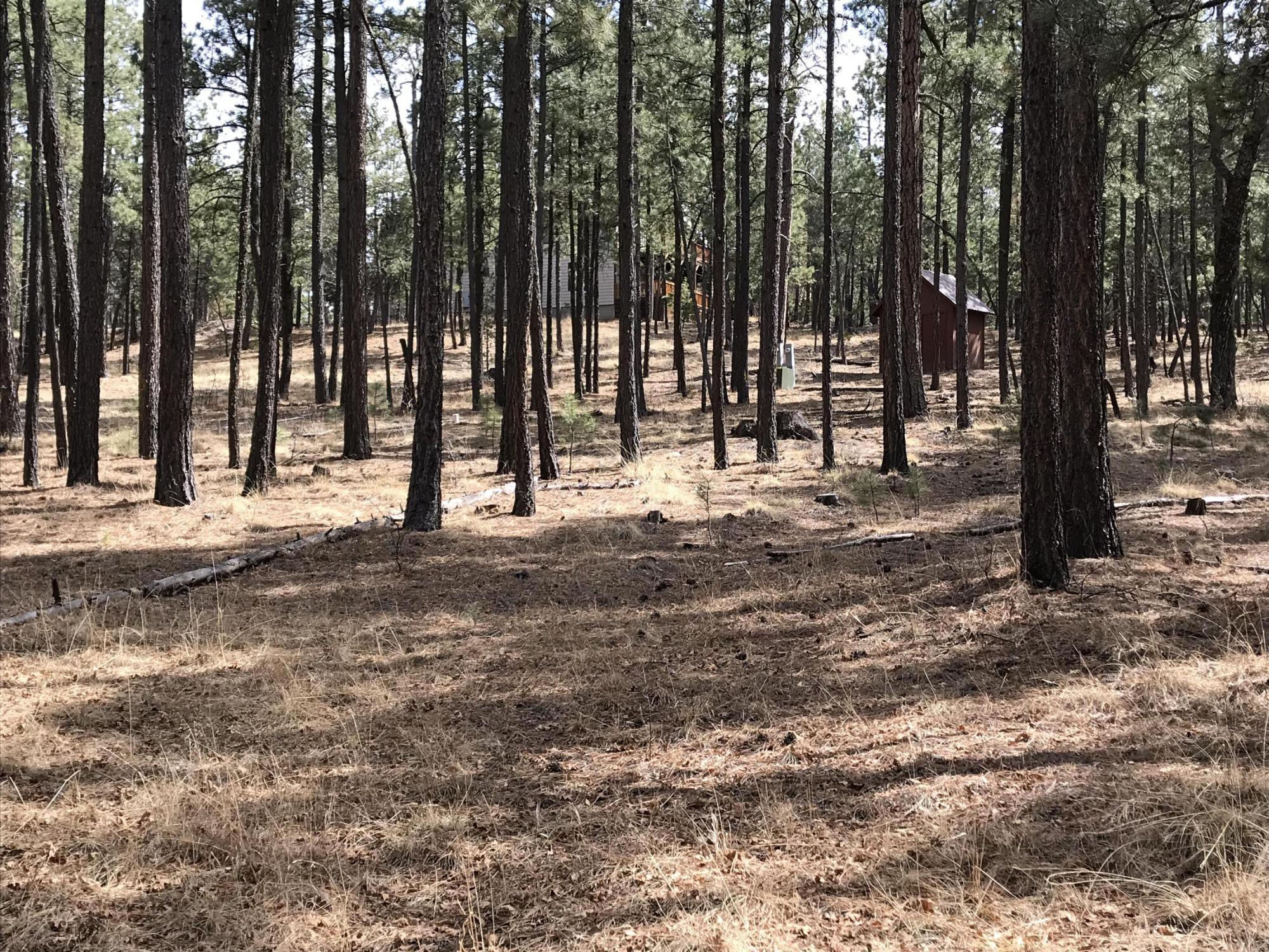 7 Y Co Road Alpine, AZ 85920 - Photo 27 of 29