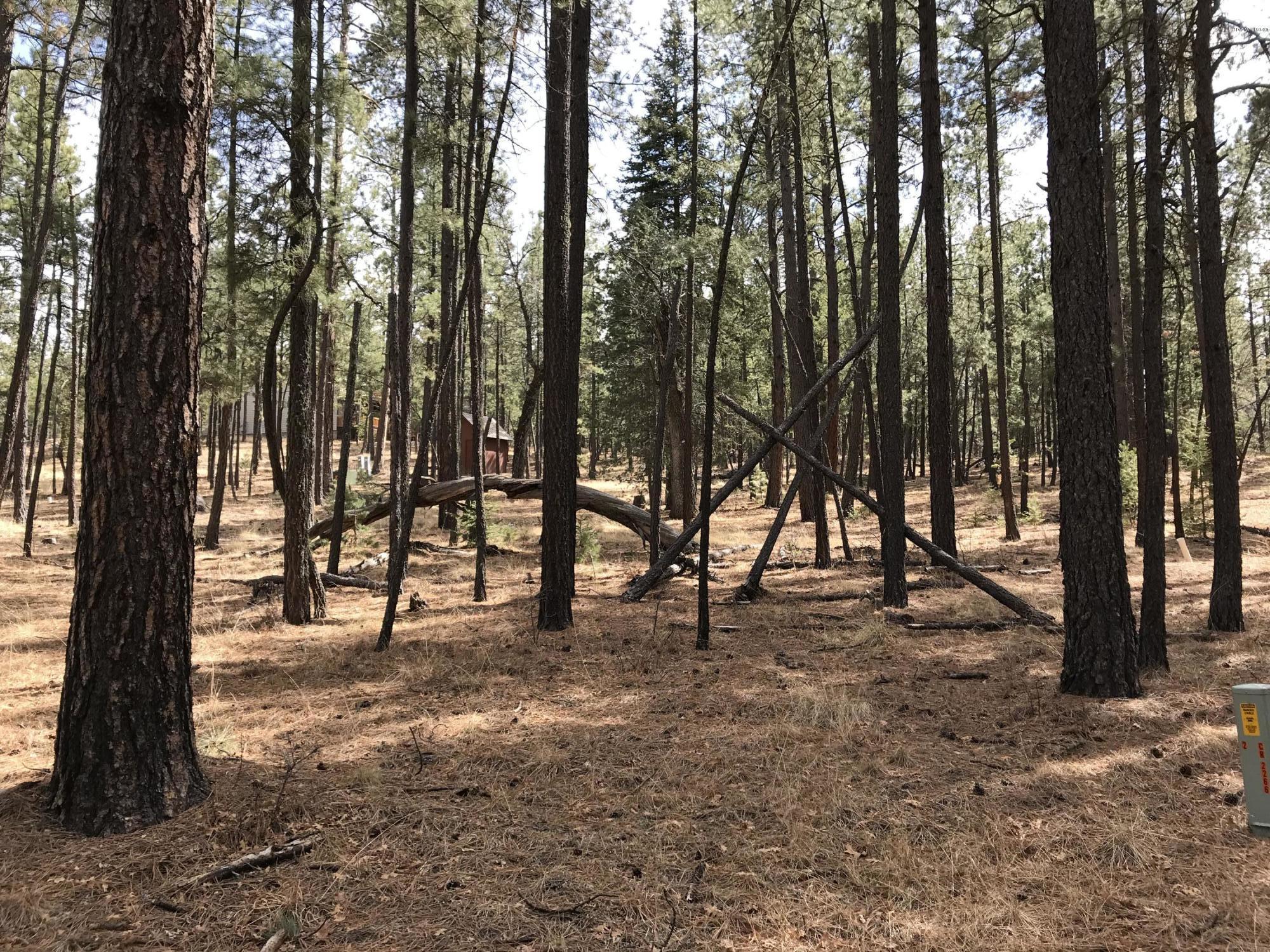 7 Y Co Road Alpine, AZ 85920 - Photo 28 of 29
