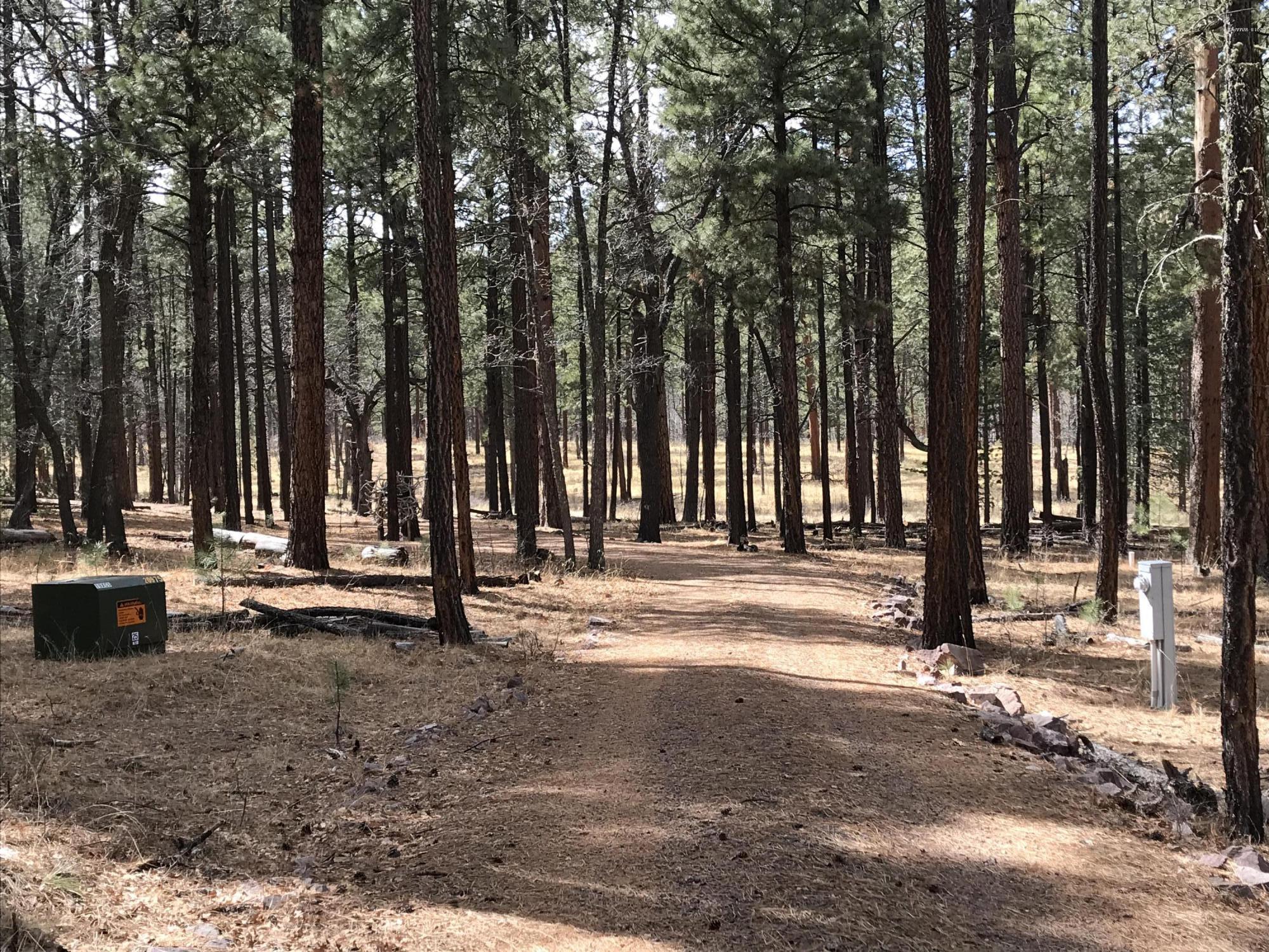 7 Y Co Road Alpine, AZ 85920 - Photo 5 of 29