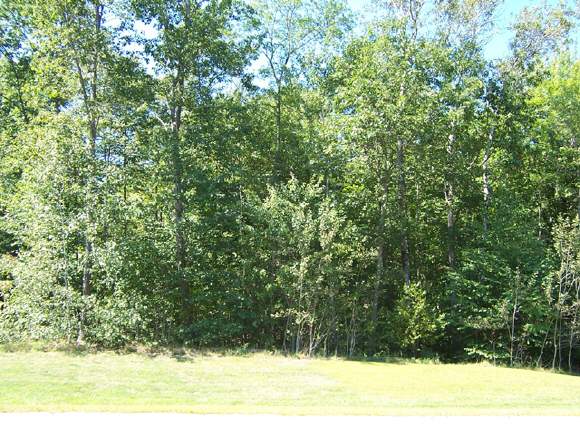 Bassett Lane Newfields, NH 03856 - Photo 1 of 1