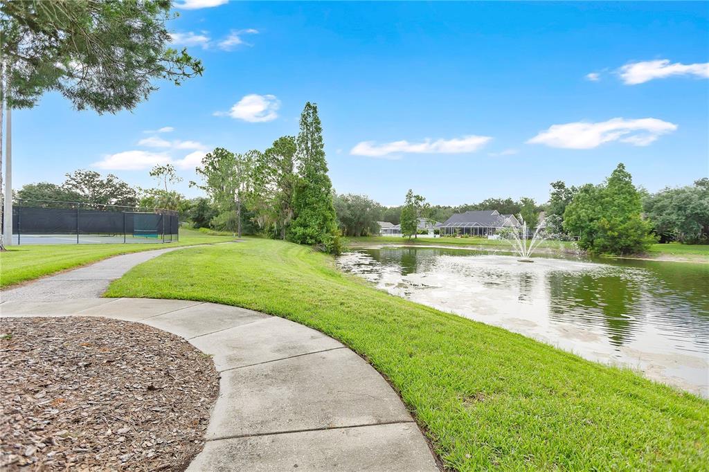 5834 Tanagerlake Road Lithia, FL 33547 - Photo 22 of 28 Gallery Image 22