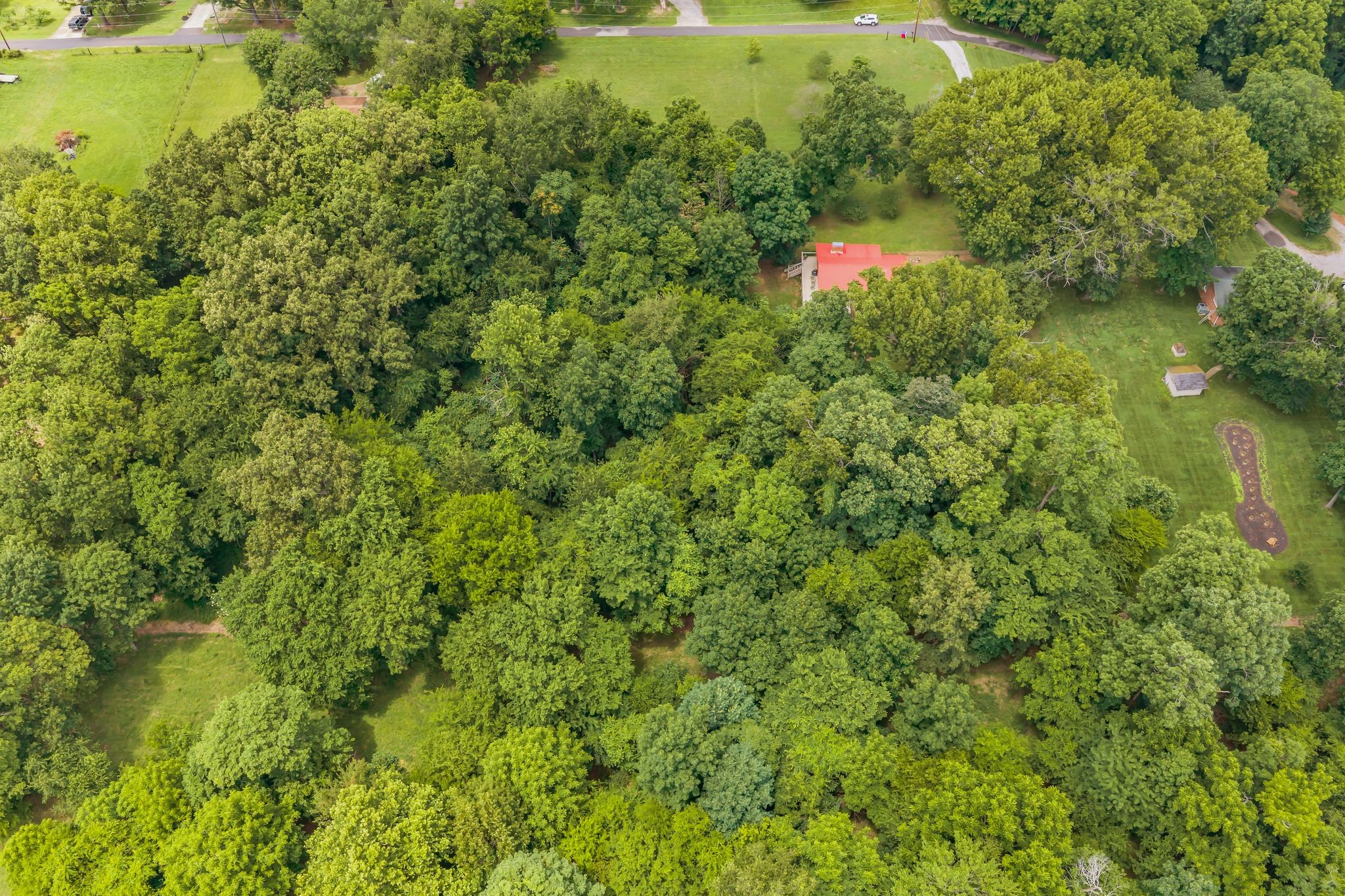 830 Hadley Road Clarksville, TN 37042 - Photo 37 of 42
