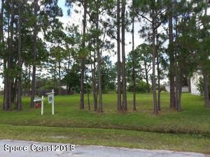 1319 Weiman Road Southeast Palm Bay, FL 32909 - Photo 1 of 1 CLEARED LOT