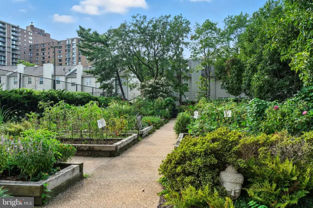 a view of a garden with plants and large trees