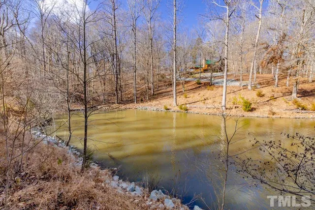 a view of a yard with trees