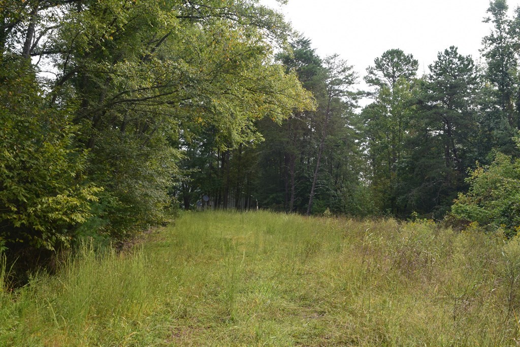 160 Summer House Hollow Road Del Rio, TN 37727 - Photo 31 of 33