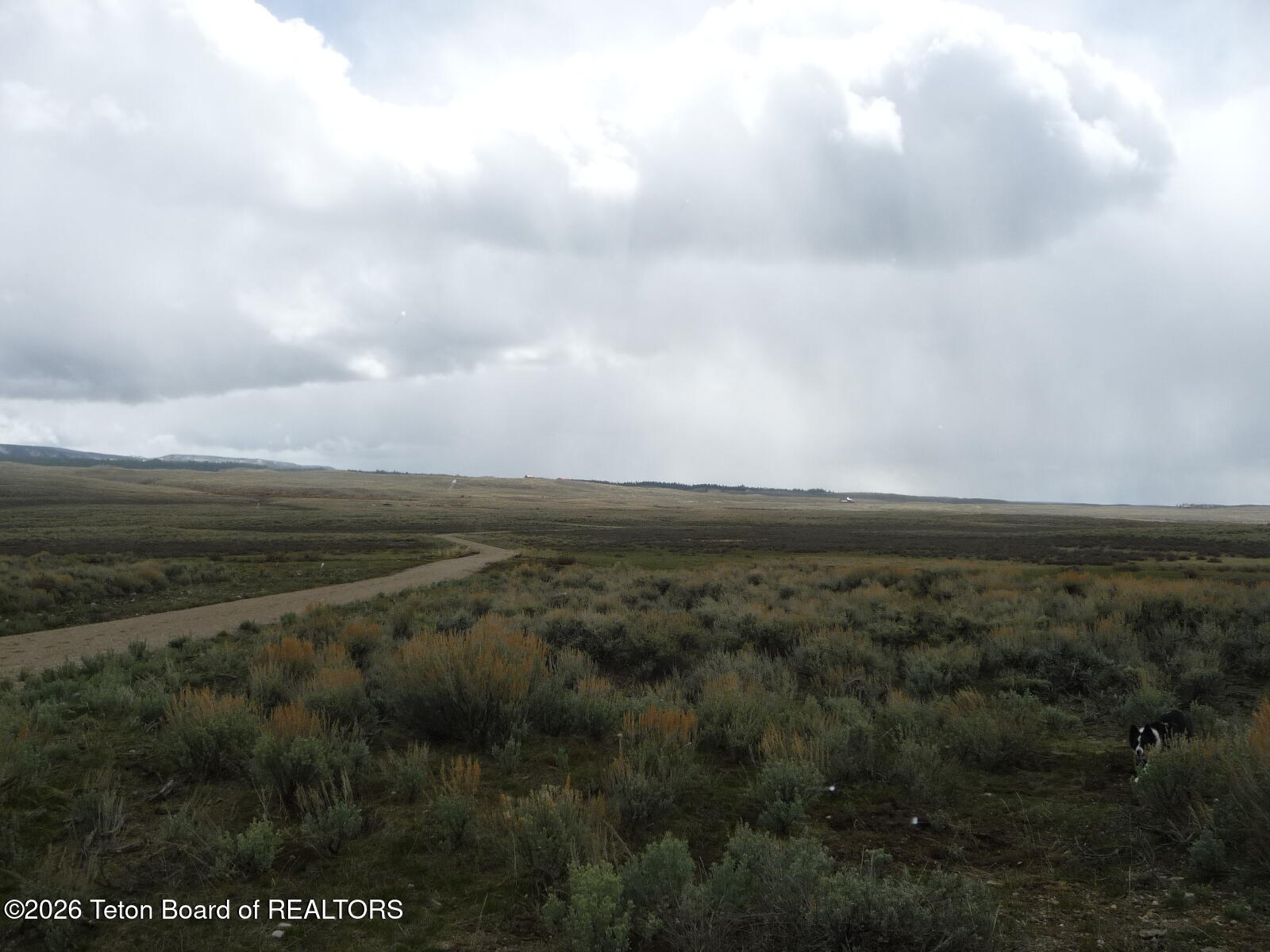 1828 Highway 352 Cora, WY 82925 - Photo 8 of 12 P1040544