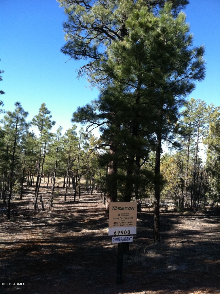 60 South Falling Leaf Road, Unit 3 Show Low, AZ 85901 - Photo 3 of 3 Time to relax!!!