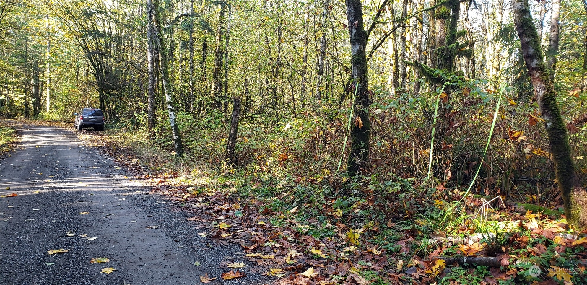 74-xx Pilchuck Tree Farm Road Snohomish, WA 98290 - Photo 7 of 22 Gallery Image 7
