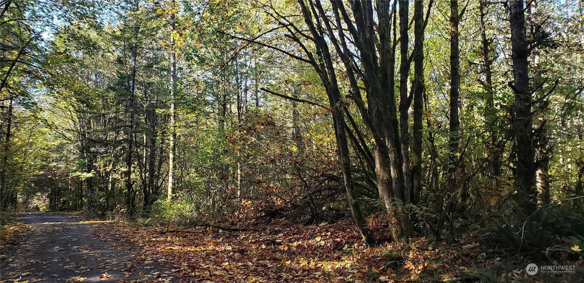 74-xx Pilchuck Tree Farm Road Snohomish, WA 98290 - Photo 8 of 22 Gallery Image 8