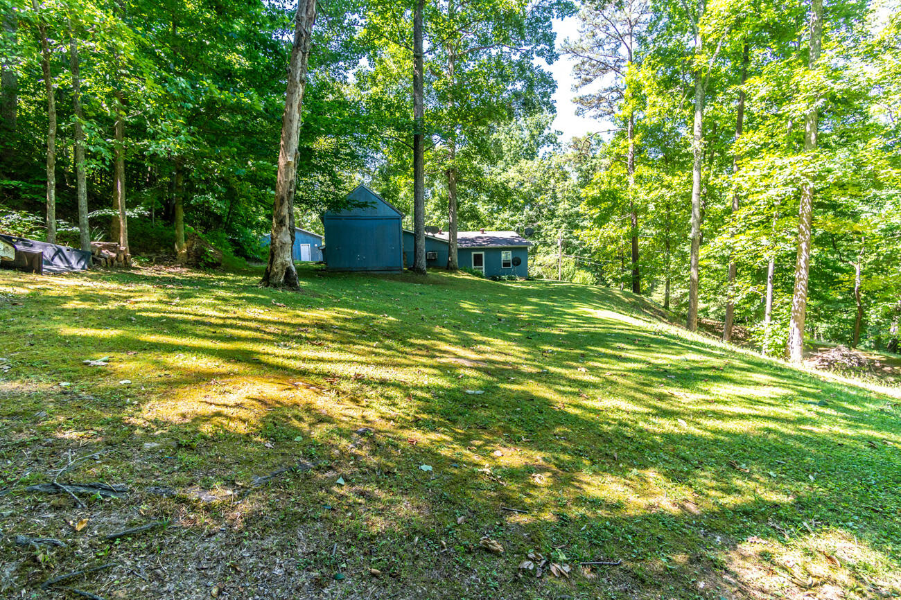 11129 Highway 1036 Road Irvine, KY 40336 - Photo 27 of 45 123