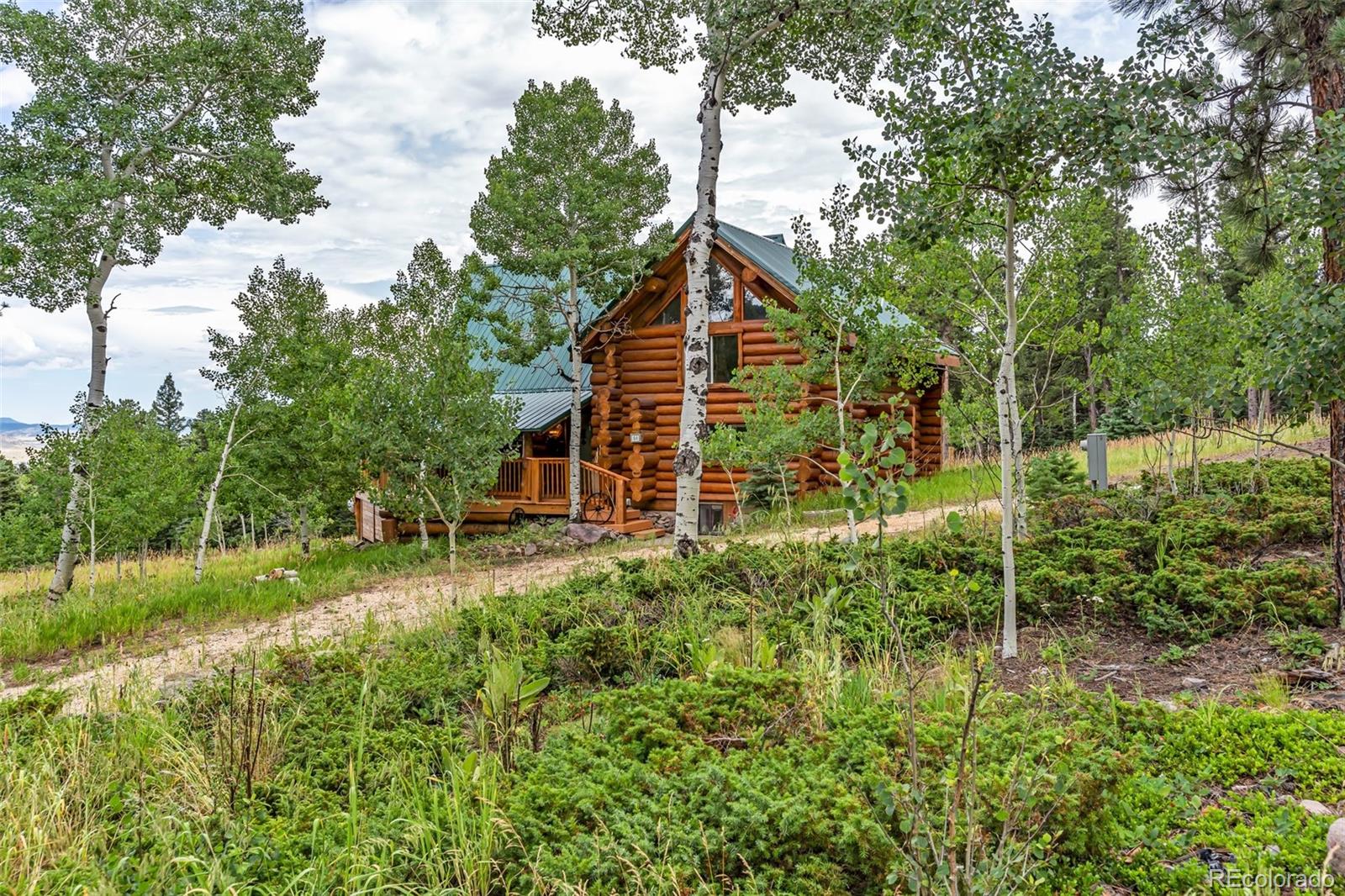 50 Lazo Centro Westcliffe, CO 81252 - Photo 4 of 44