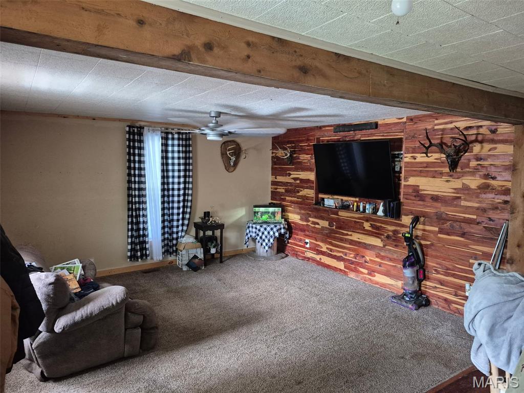 111 College Street Arcadia, MO 63621 - Photo 1 of 42