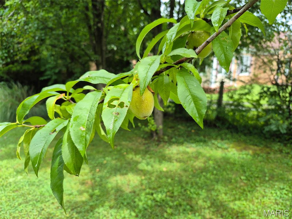 111 College Street Arcadia, MO 63621 - Photo 29 of 42