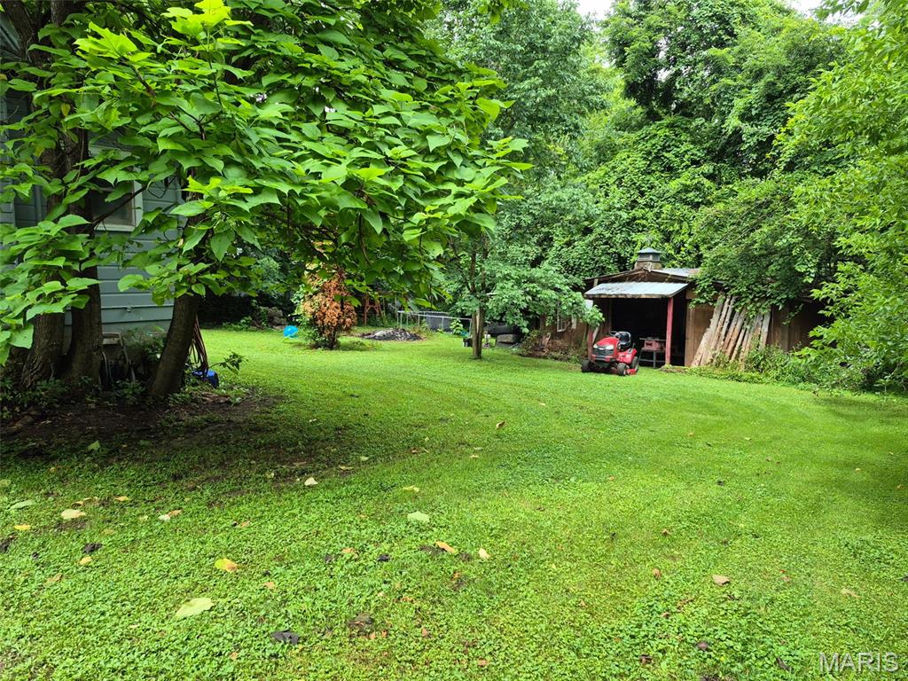 111 College Street Arcadia, MO 63621 - Photo 38 of 42