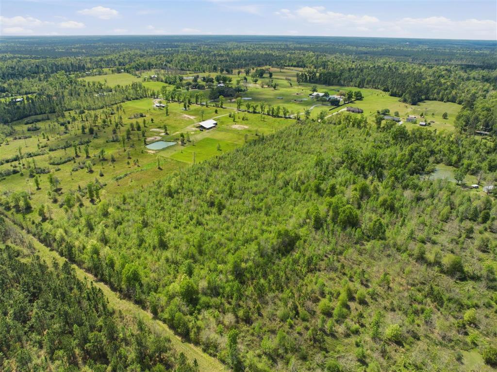 0 Bill Gilbert Road Ragley, LA 70657 - Photo 5 of 8