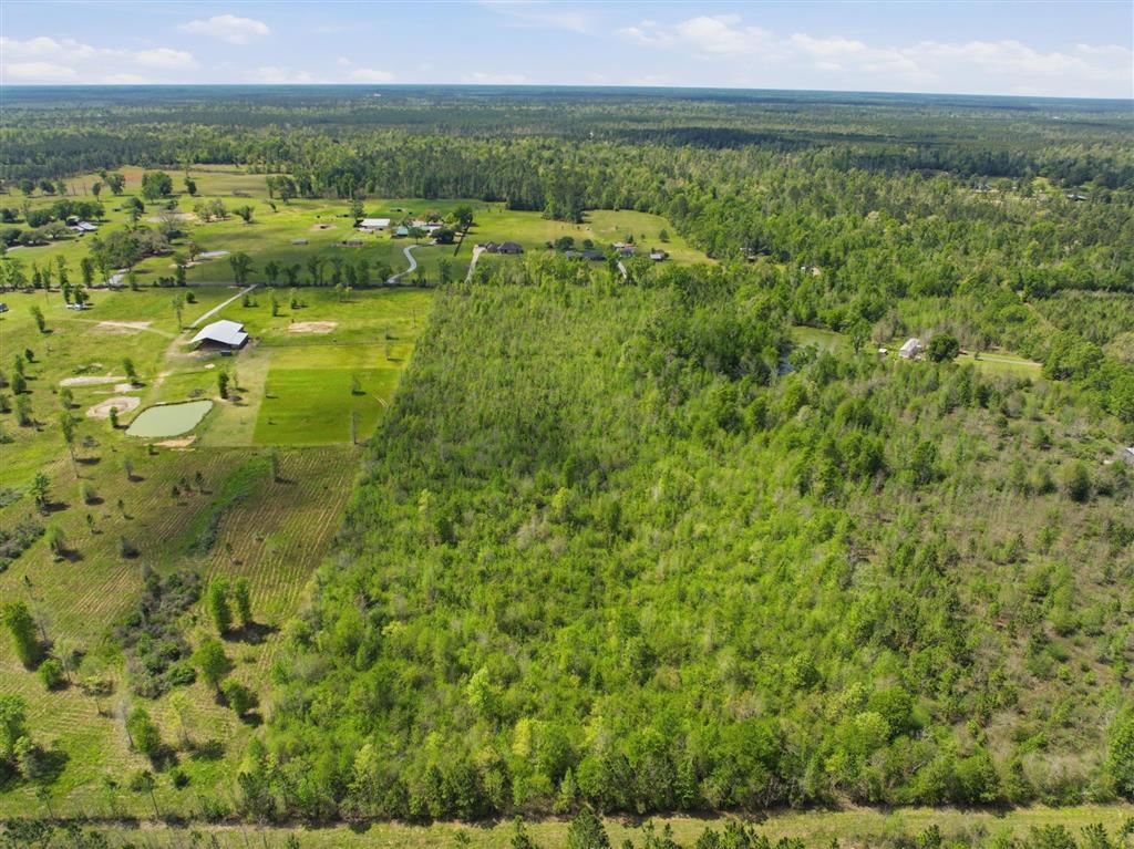 0 Bill Gilbert Road Ragley, LA 70657 - Photo 6 of 8