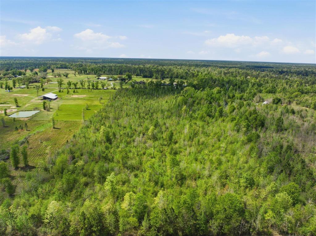 0 Bill Gilbert Road Ragley, LA 70657 - Photo 8 of 8