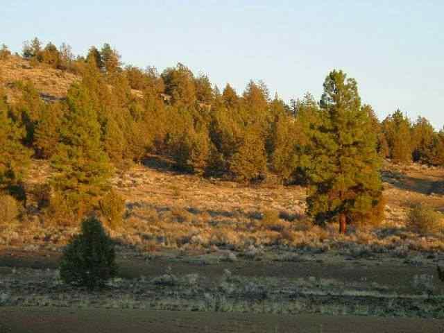0 Godowa Spring Beatty, OR 97621 - Photo 3 of 6 Additional Photo