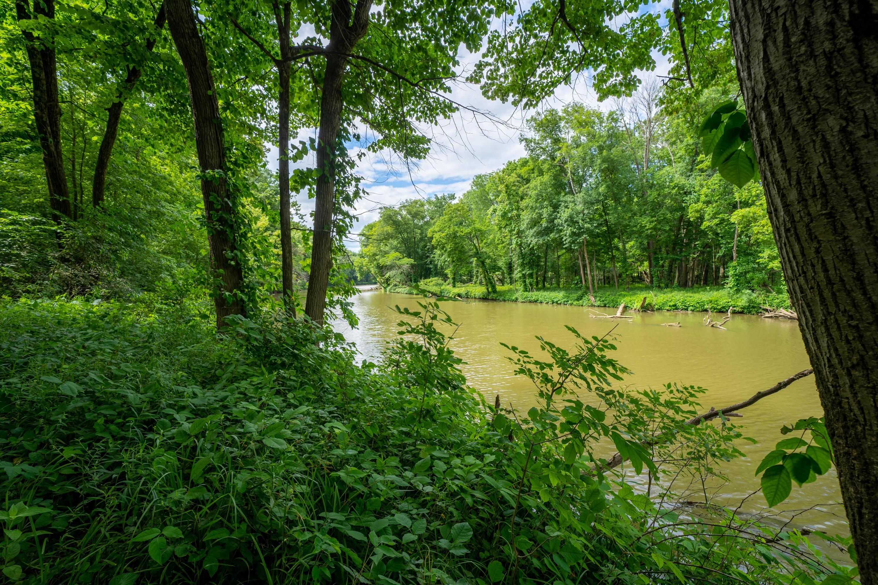 7262 Brundage Road Waldo, OH 43356 - Photo 110 of 127 Gallery Image 110