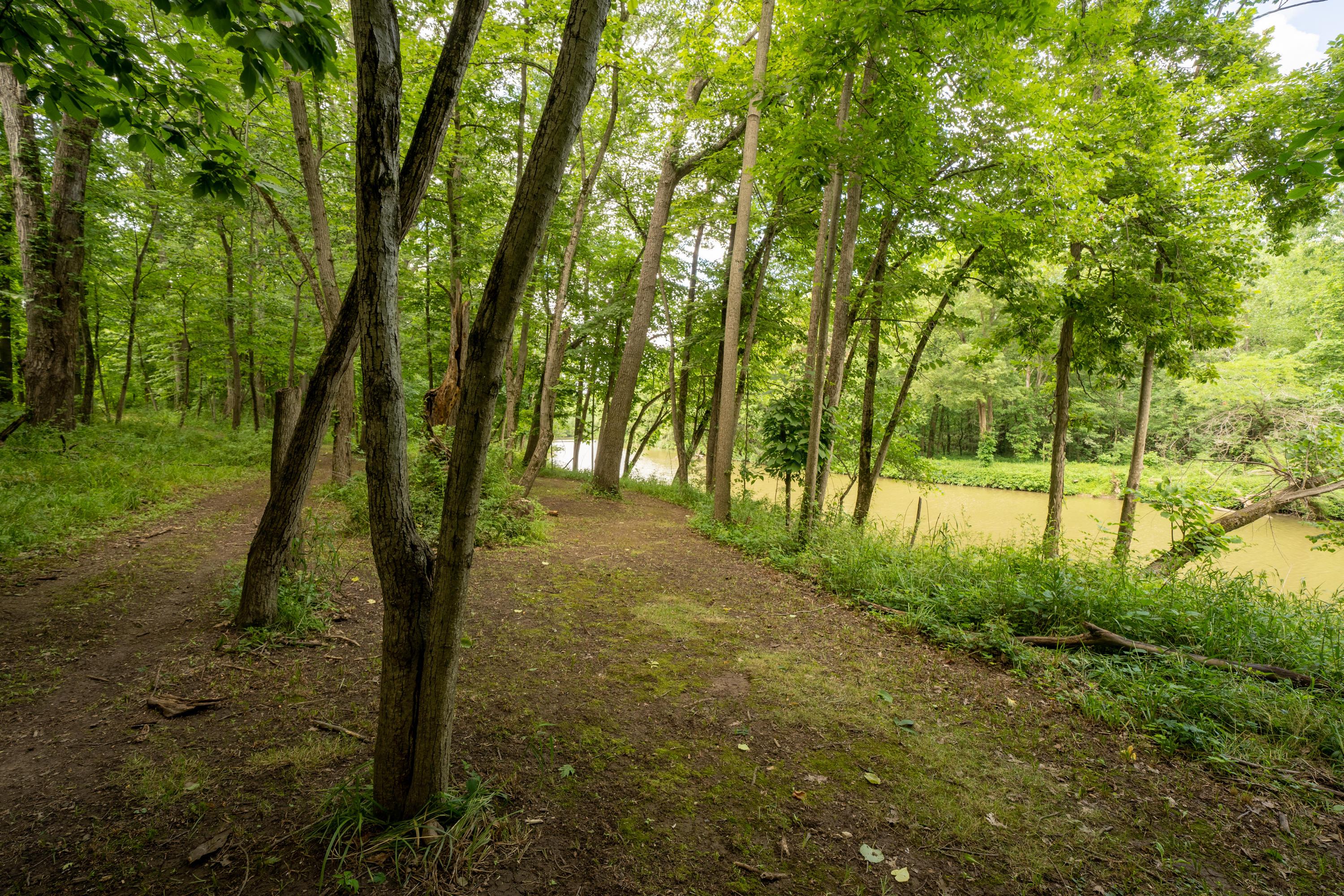 7262 Brundage Road Waldo, OH 43356 - Photo 112 of 127 Gallery Image 112