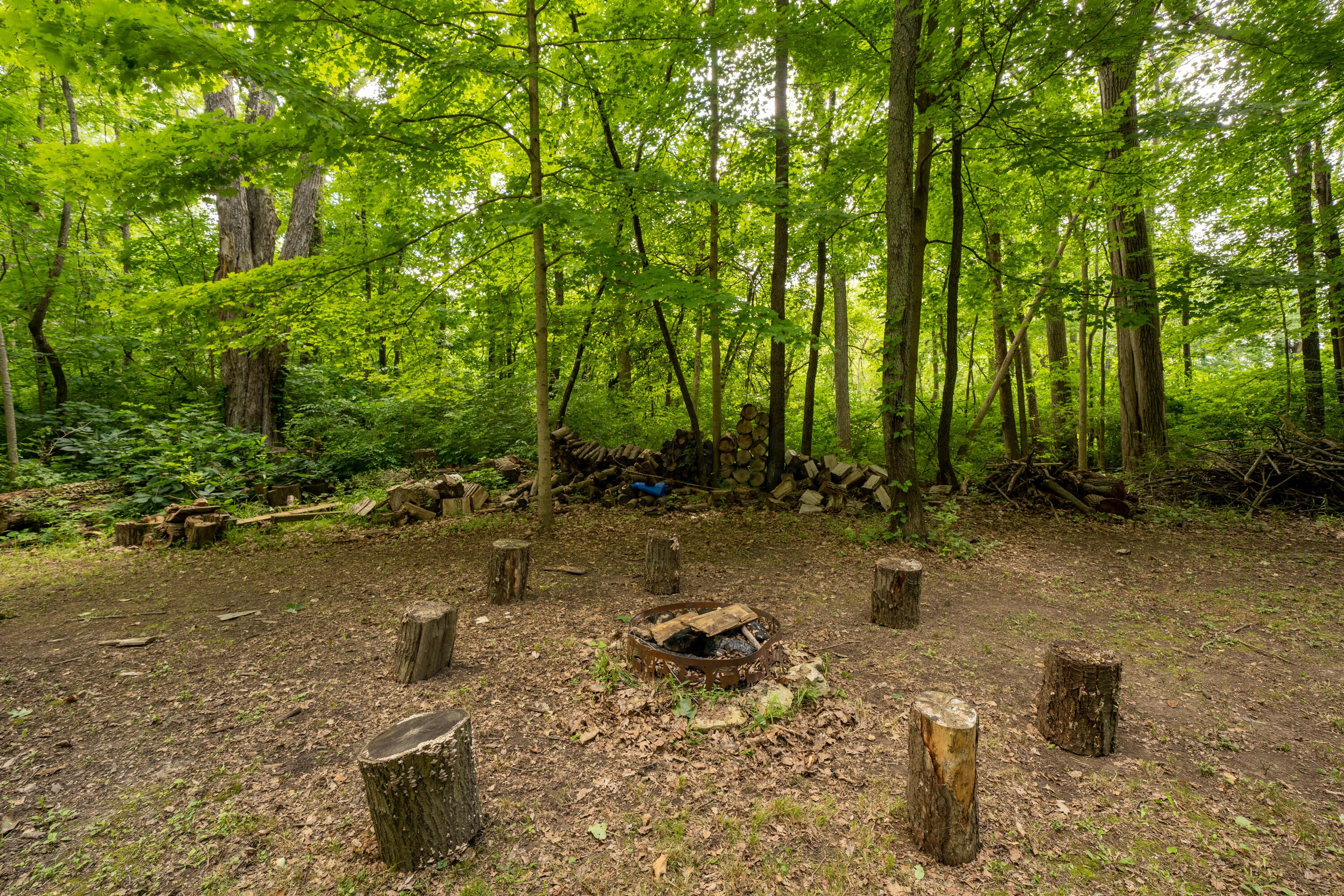 7262 Brundage Road Waldo, OH 43356 - Photo 113 of 127 Gallery Image 113