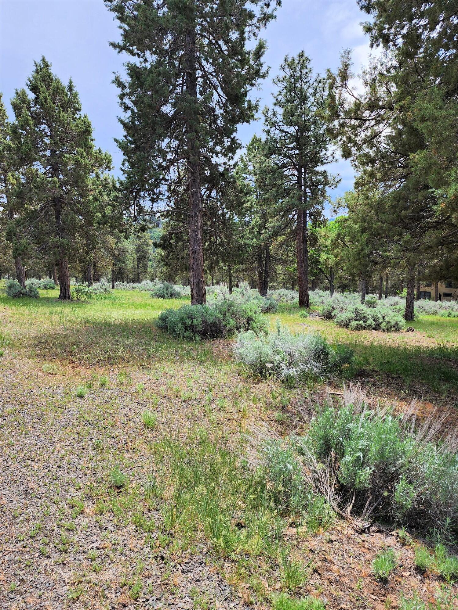 Lot 515 Dowitcher Road Klamath Falls, OR 97601 - Photo 3 of 12 Dowitcher.4