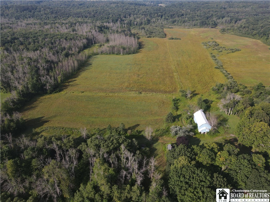 0 Mather Road Mayville, NY 14757 - Photo 7 of 12