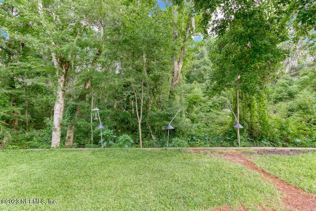691 Nottingham Forest Circle St. Johns, FL 32259 - Photo 33 of 44 a view of lush green forest