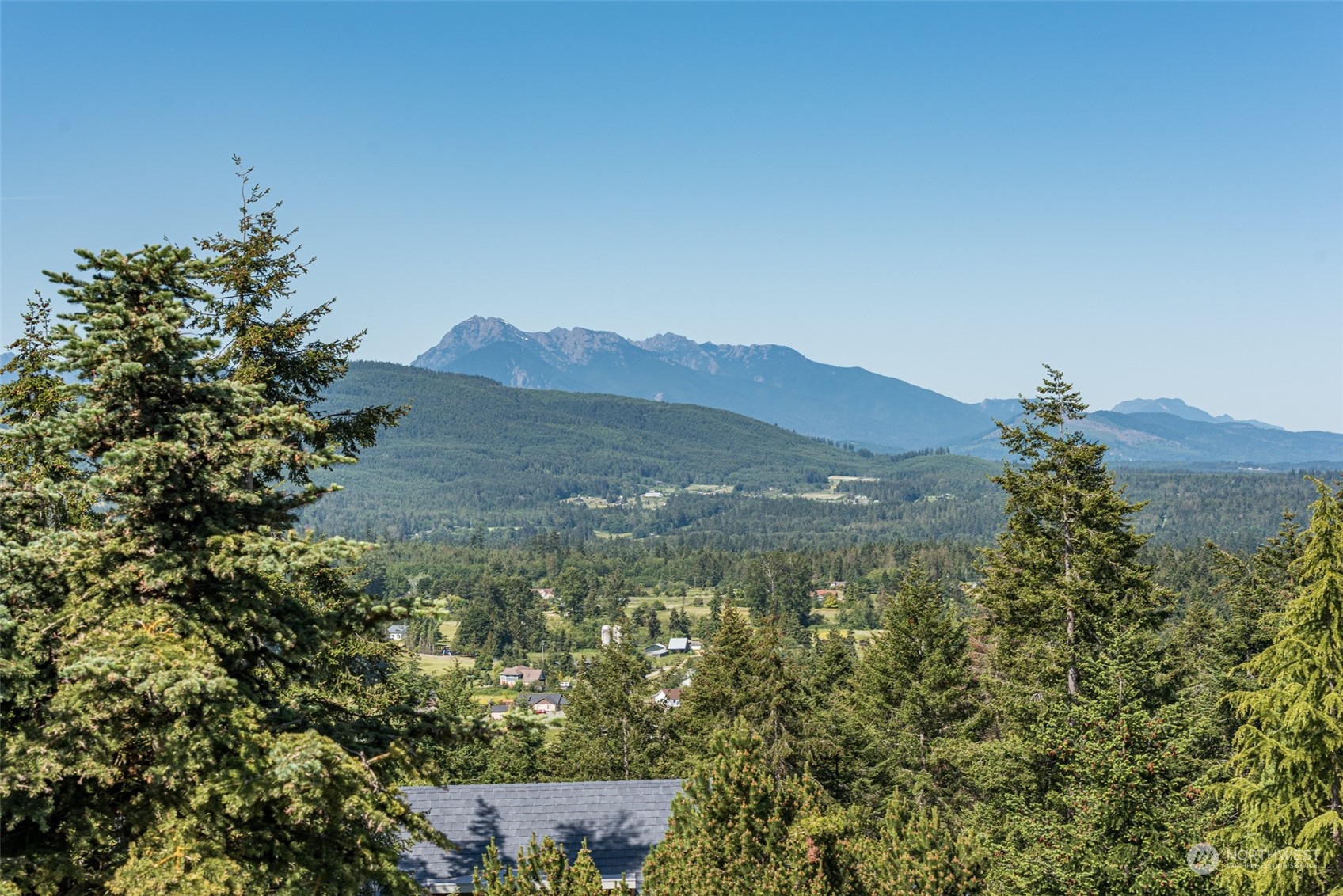 773 Ravens Ridge Road Sequim, WA 98382 - Photo 28 of 38 a view of a lush green forest with mountains in the background
