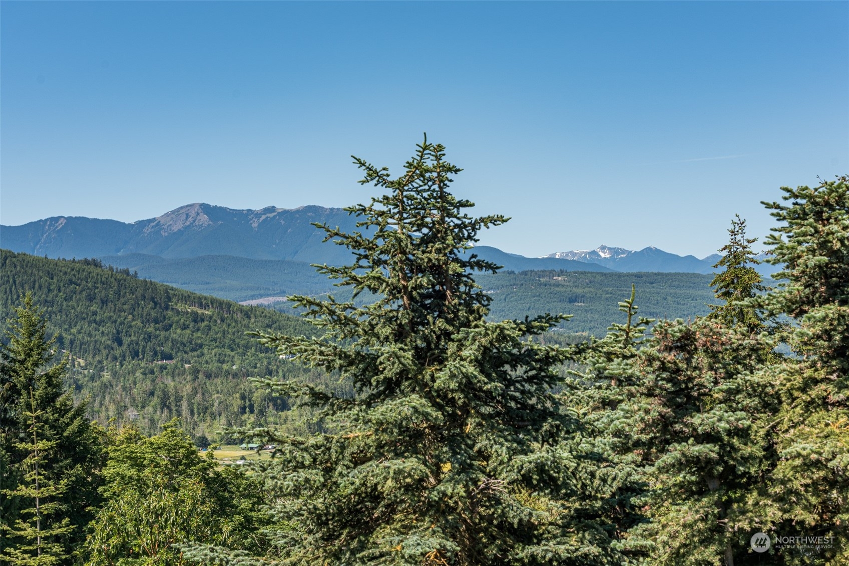 773 Ravens Ridge Road Sequim, WA 98382 - Photo 38 of 38 a view of a lush green field with a mountain in the background