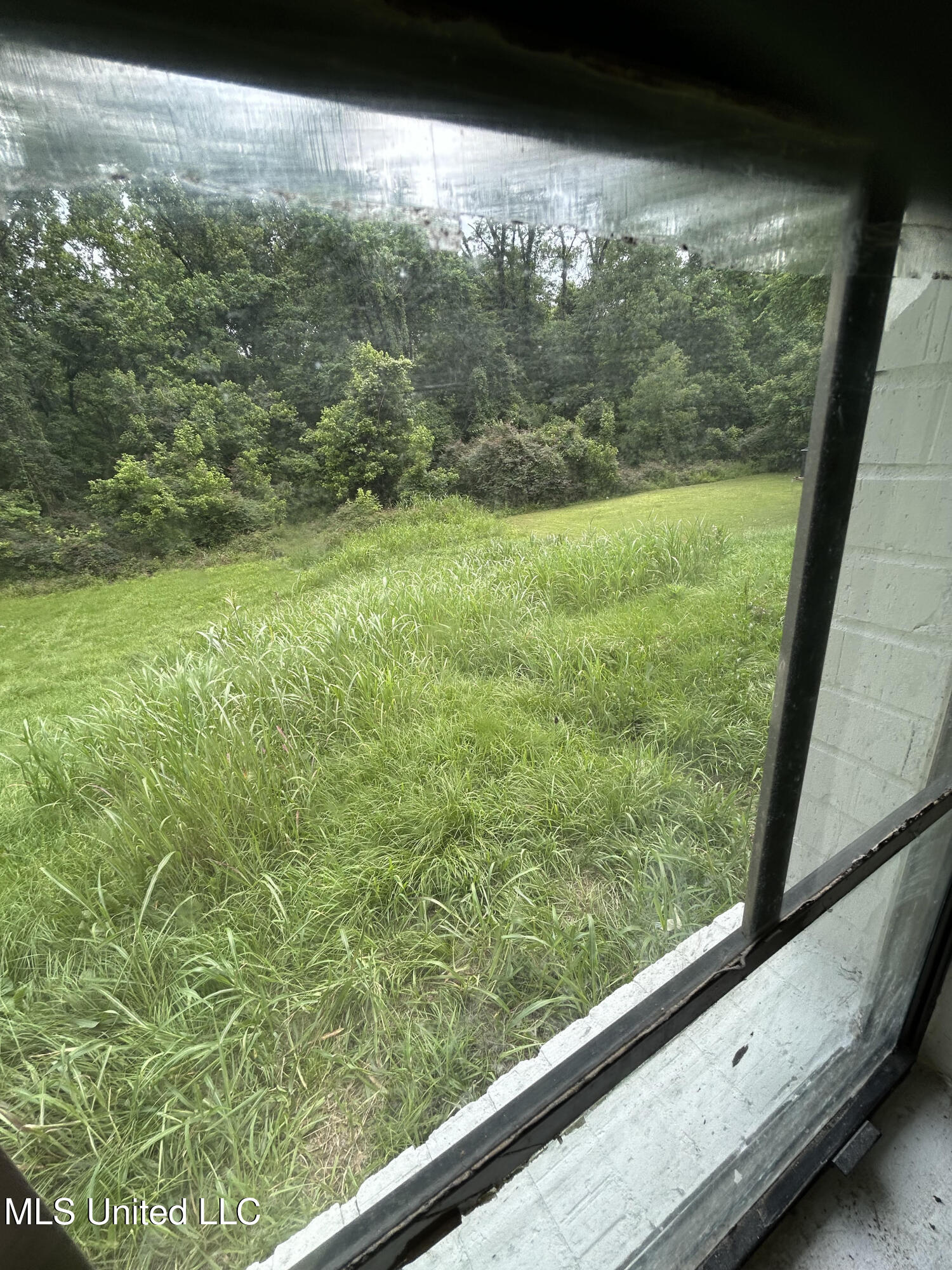 4534 Halls Ferry Road Vicksburg, MS 39180 - Photo 24 of 25 4534 backyard