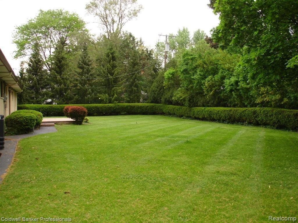 6721 Inkster Road Bloomfield Hills, MI 48301 - Photo 18 of 24 Large Backyard