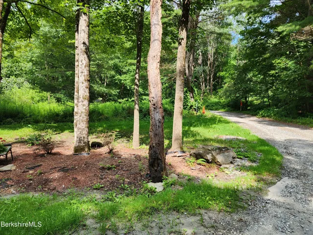 a view of a lush green forest with trees and some houses