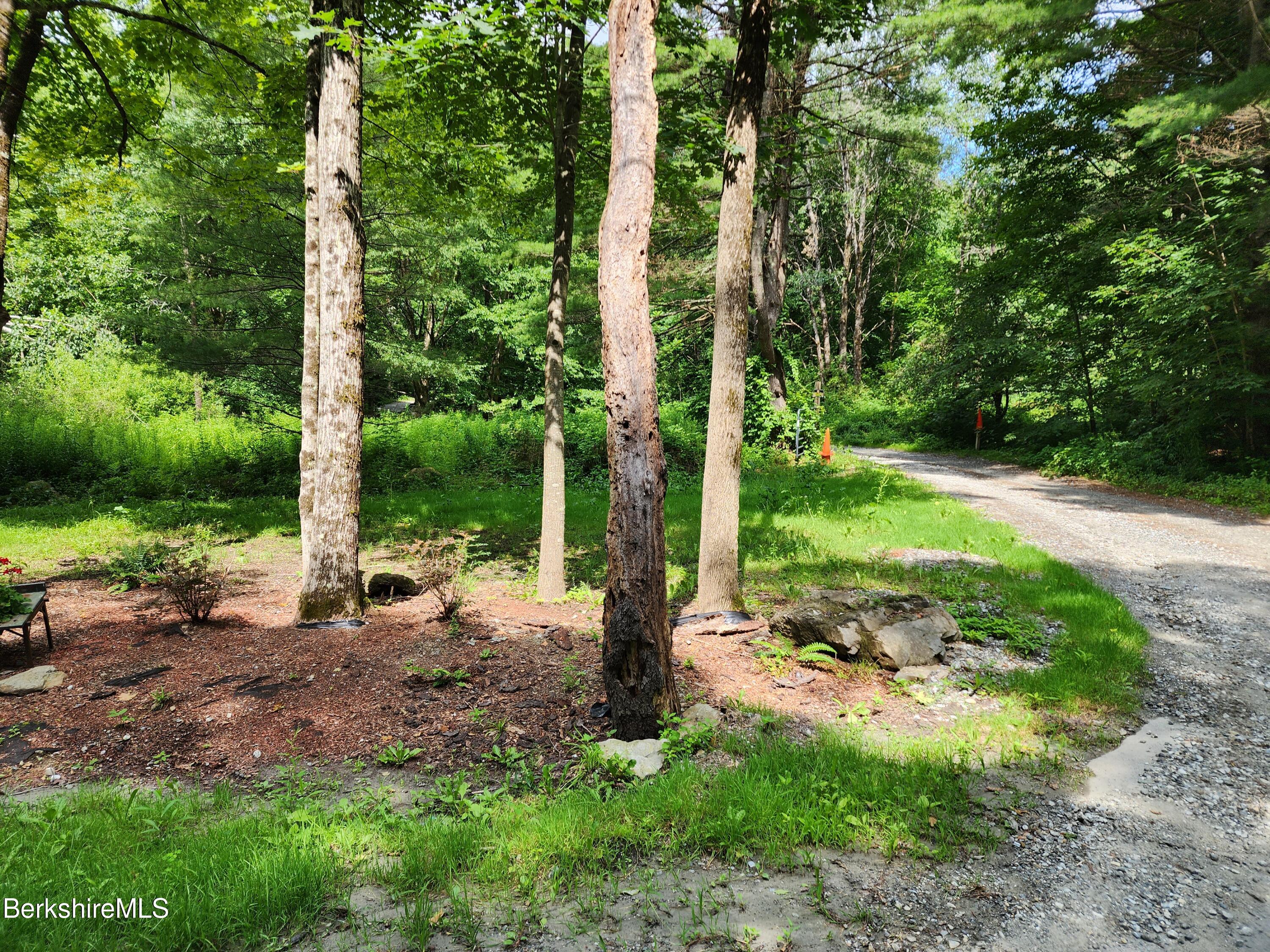 Lot 301 Cascade Street Pittsfield, MA 01201 - Photo 11 of 27 a view of a park with large trees