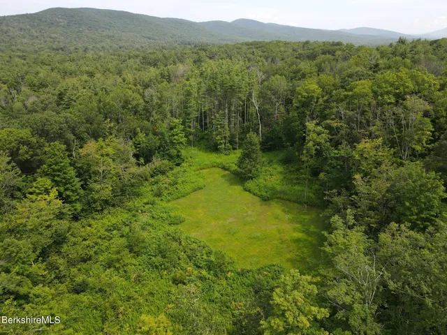 a view of a lush green forest with trees and some houses