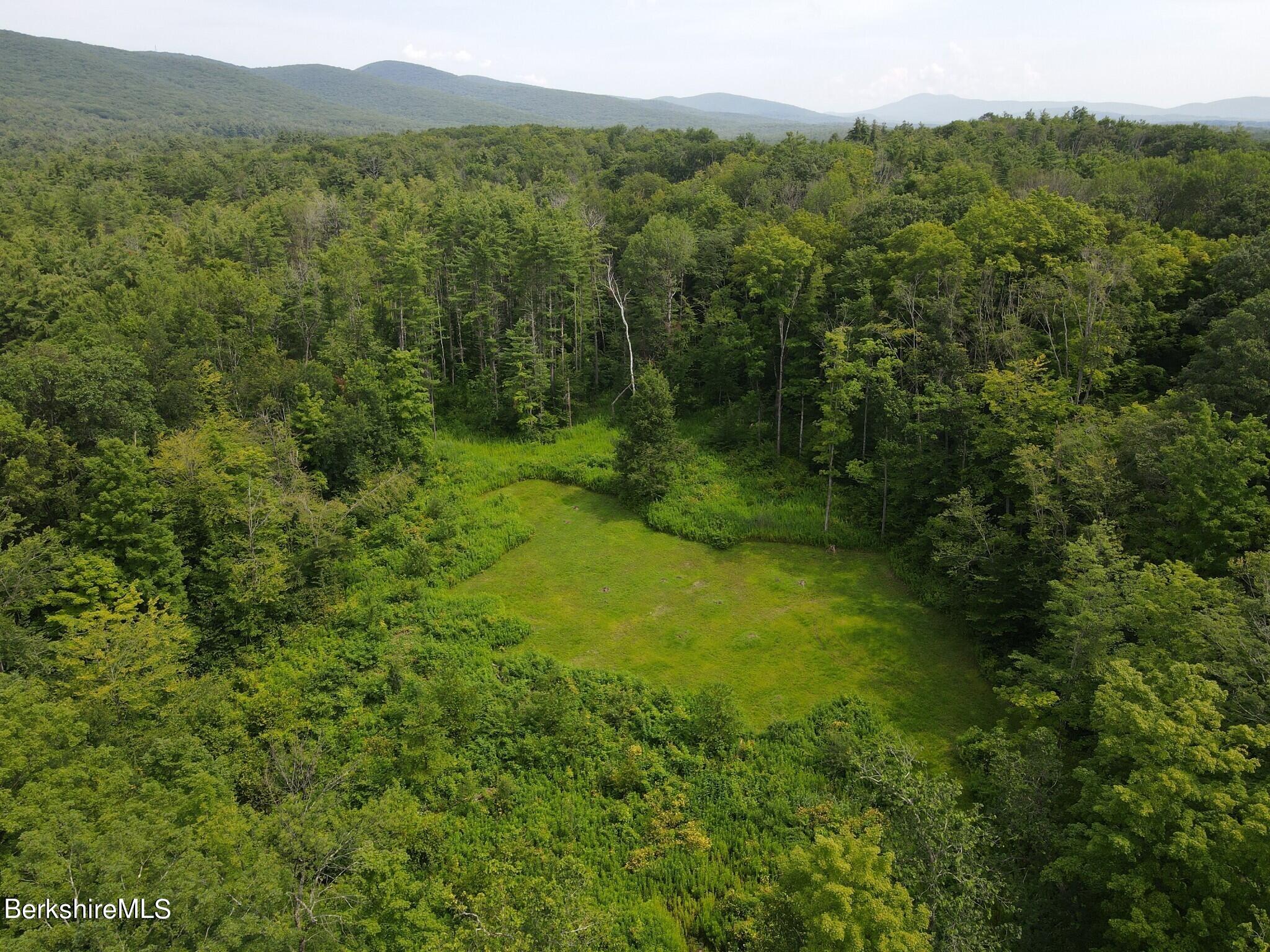 Lot 301 Cascade Street Pittsfield, MA 01201 - Photo 13 of 27 a view of a lush green forest with trees and some houses