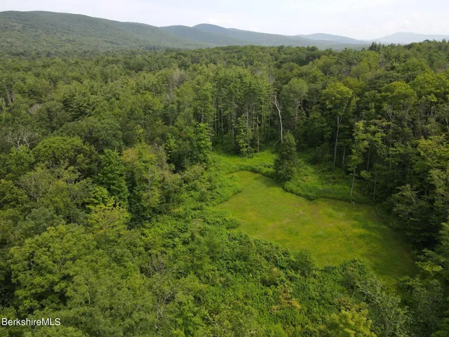 a view of a lush green hillside and a mountain