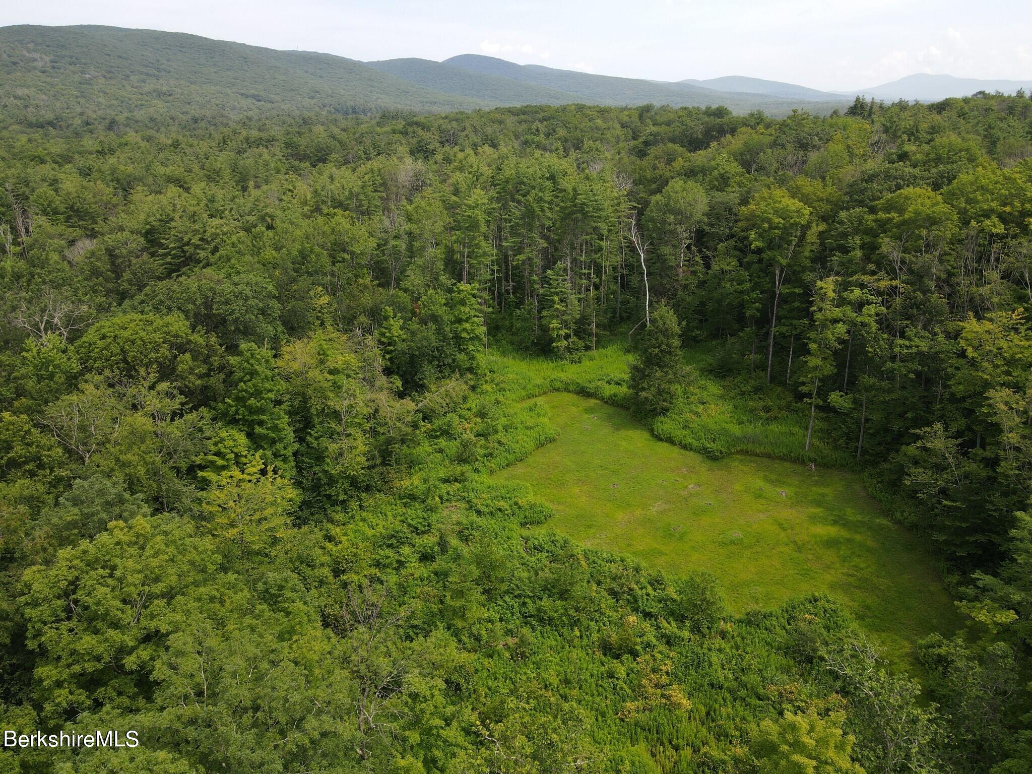 Lot 301 Cascade Street Pittsfield, MA 01201 - Photo 14 of 27 a view of a lush green forest with trees and some houses