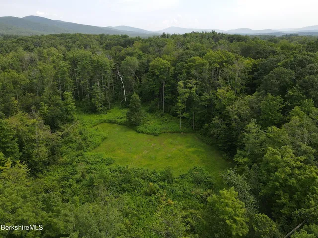 a view of a lush green forest with trees and some houses
