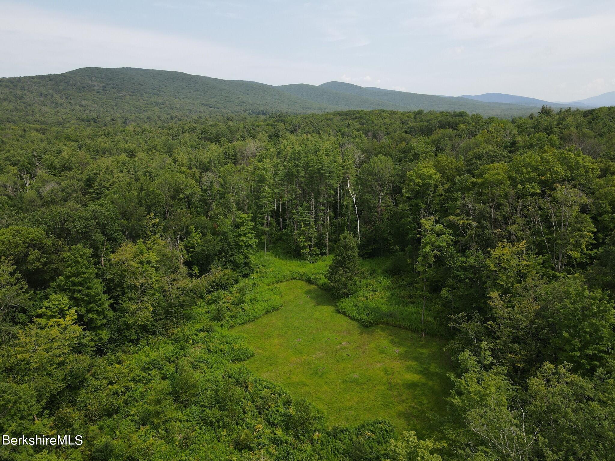 Lot 301 Cascade Street Pittsfield, MA 01201 - Photo 16 of 27 a view of a lush green hillside and a mountain