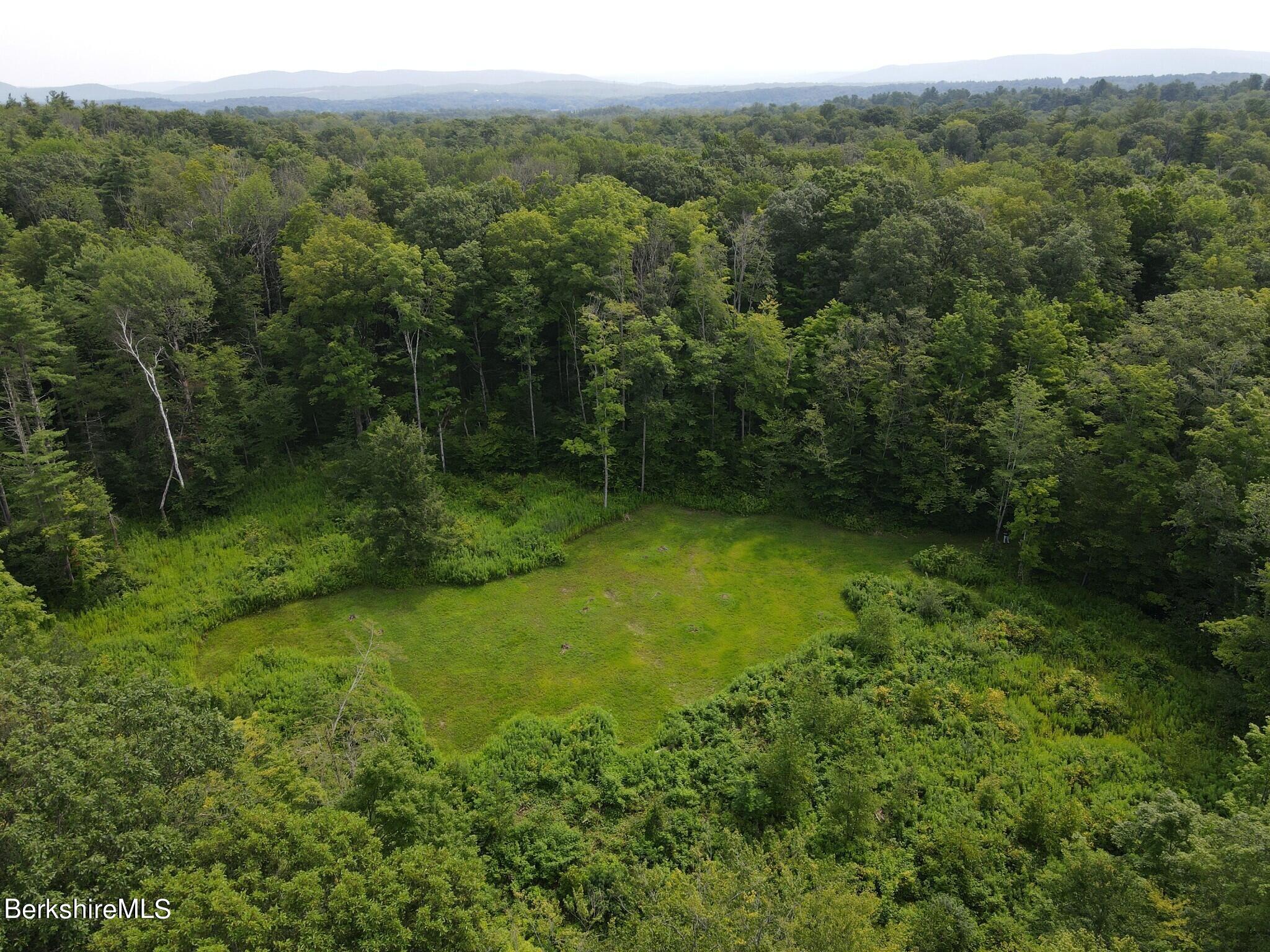 Lot 301 Cascade Street Pittsfield, MA 01201 - Photo 17 of 27 a view of a lush green forest with trees and some houses