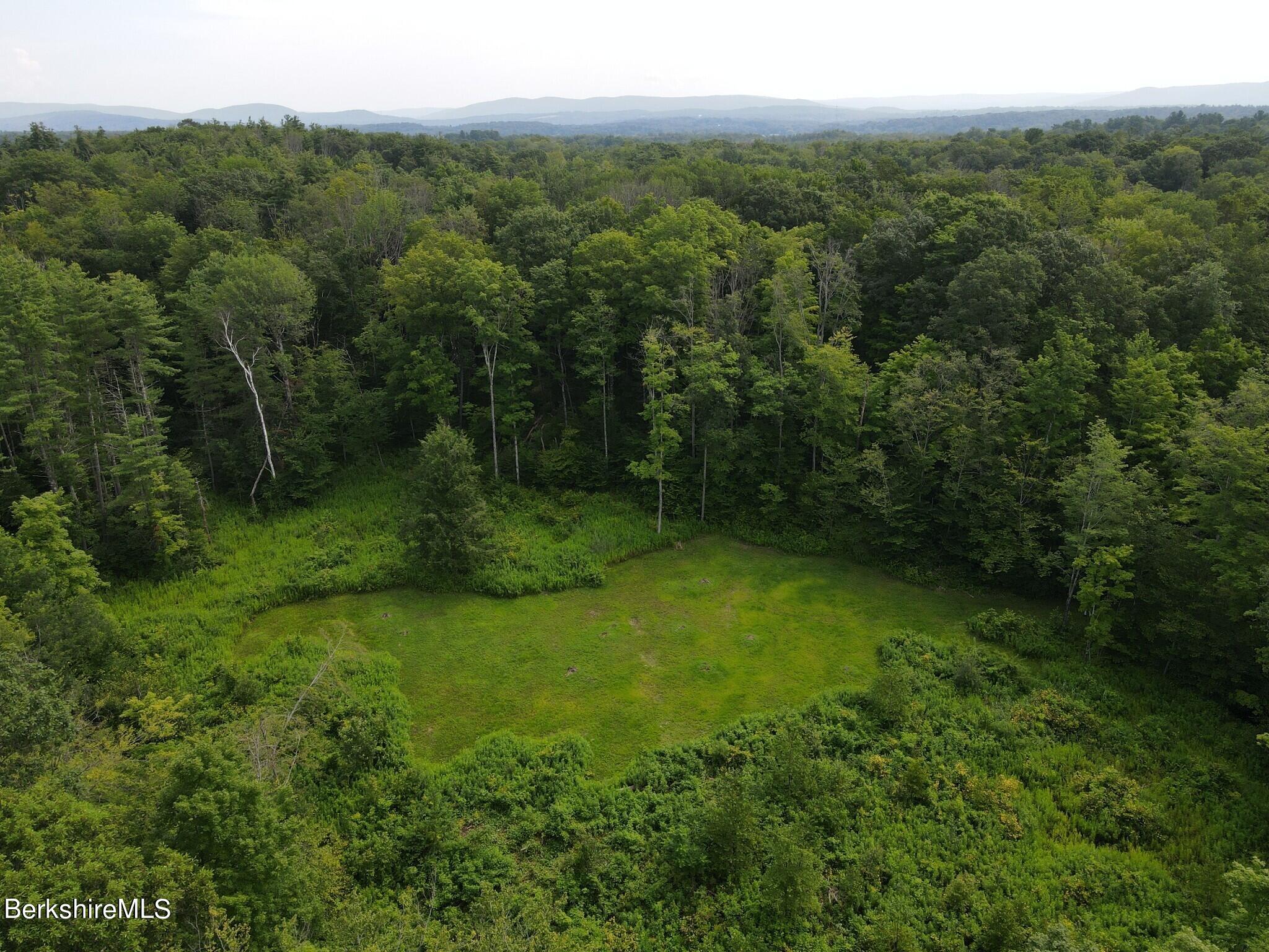 Lot 301 Cascade Street Pittsfield, MA 01201 - Photo 18 of 27 a view of a lush green forest